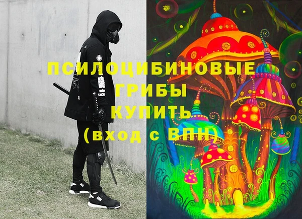 молекула духа Магадан