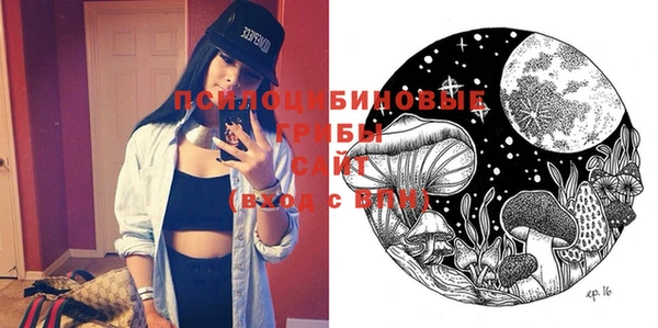 молекула духа Магадан