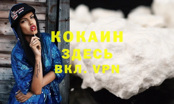 молекула духа Магадан
