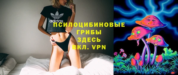 молекула духа Магадан