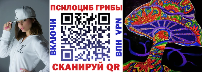 Купить  Звенигород  Псилоцибиновые грибы Psilocybe 